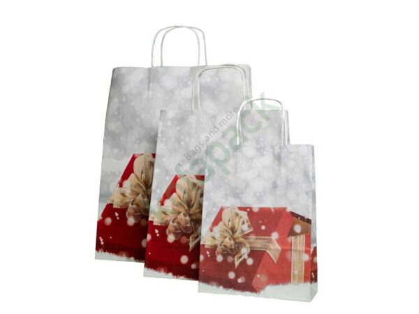 Papiertaschen mit gedrehter papierkordel 32x12x41 (Geschenkdesign)