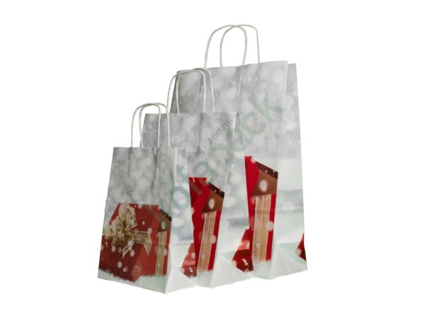 Papiertaschen mit gedrehter papierkordel 25x12x31 (Geschenkdesign)
